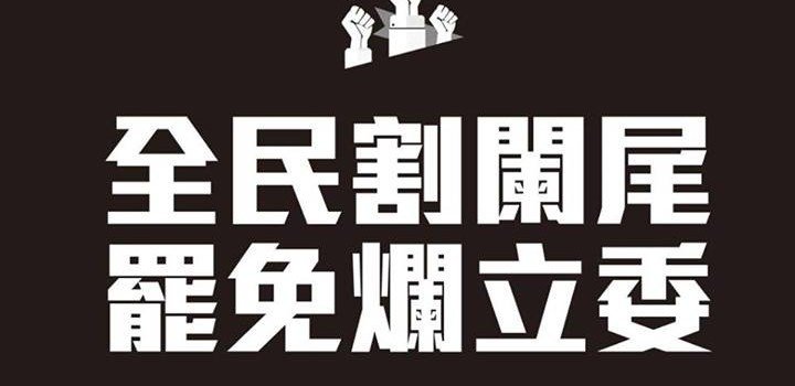 代議士代表著誰?黨意凌駕代議政治? 代議士代表著誰?黨意凌駕代議政治?