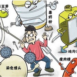 誰該承擔風險?  論國家與風險重分配