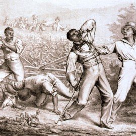 我們要法治！…咦我們說的是同一件事嗎？