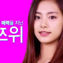 大選前夜的「子瑜」——PTT政黑版數據分析 大選前夜的「子瑜」——PTT政黑版數據分析