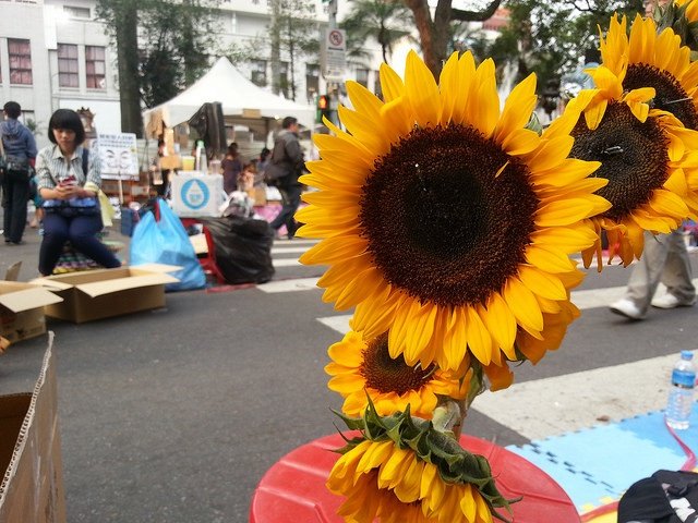 13925026935_5cd72c4bdb_z