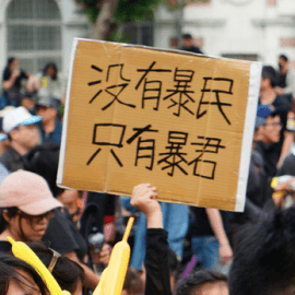 公民意識、公民不服從和政治參與