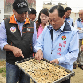 新侍從主義在台灣：「苗栗國」是怎麼來的？