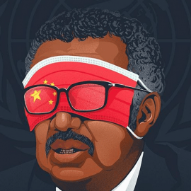 從IMF與金融危機談國際組織、偏差治理、與全球危機:兼論對WHO處理武漢肺炎危機(COVID-19)的問題 從IMF與金融危機談國際組織、偏差治理、與全球危機:兼論對WHO處理武漢肺炎危機(COVID-19)的問題